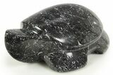 Carved Black Coquina Stone Turtle - California #308608-1